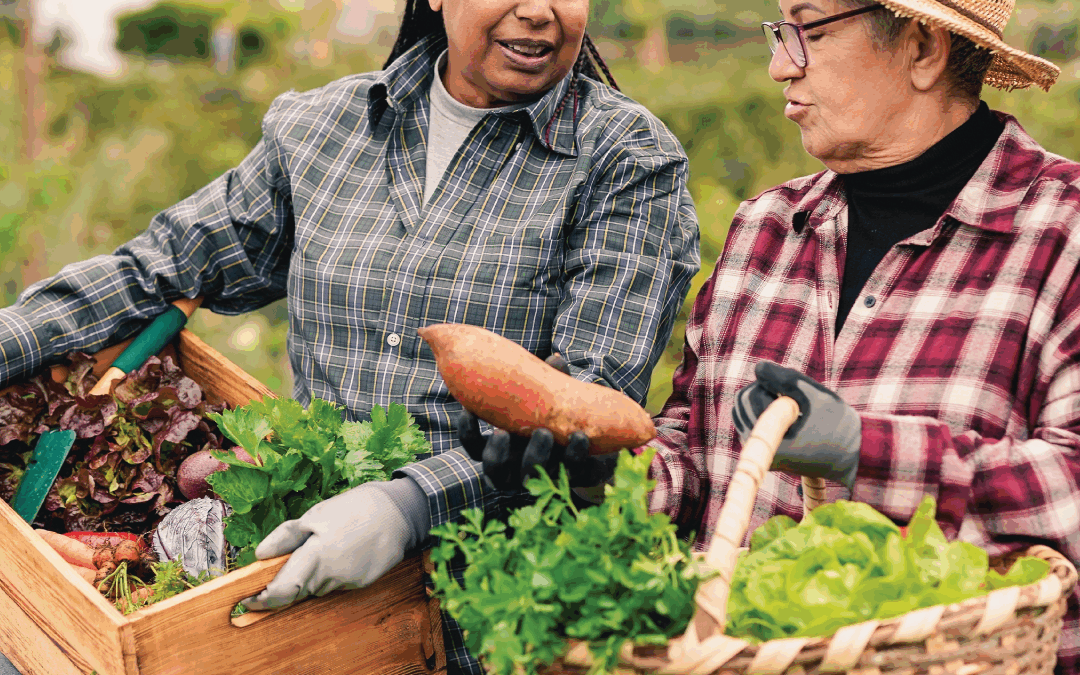 PR: Registration for 49th Annual Race Now Open